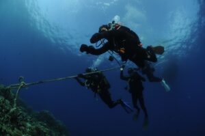 Beyond the Leash: A Deep Dive into the Next Generation of AI Pet Technology