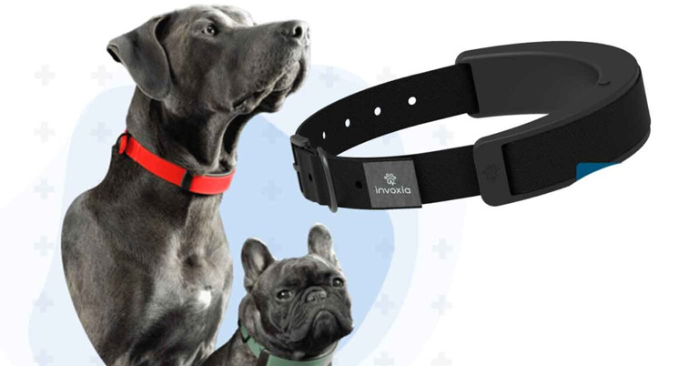 AI pet collar - Minitailz AI Smart Collar, Features, Specifications and more!