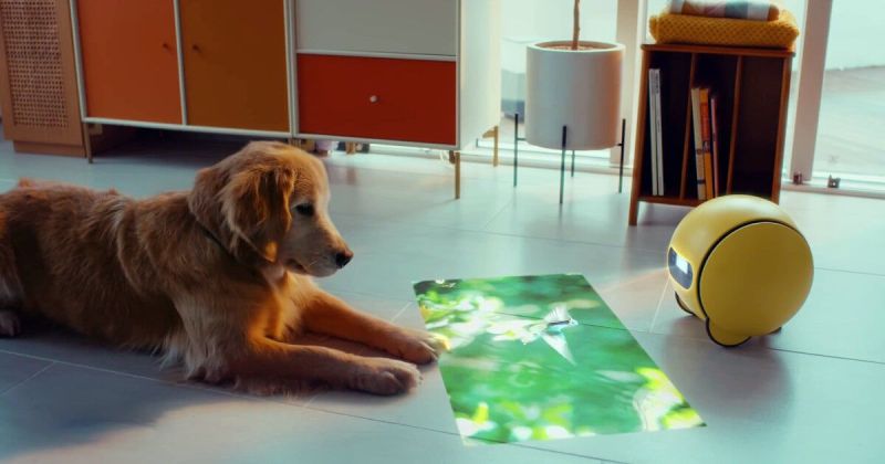 AI robot ball projecting on wall - samsung's ball-shaped AI robot plays videos on floors, walls and ...